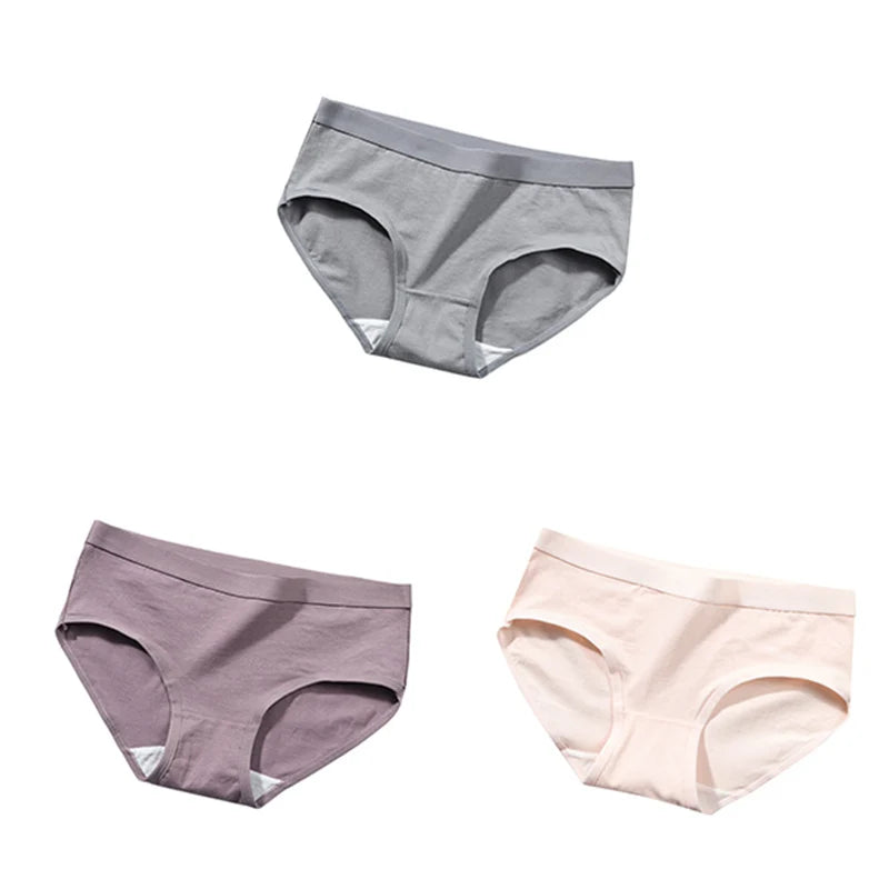 The Bauhaus Rhythm Set | Minimalist Mid-Rise Women's Cotton Briefs (3-Pack)