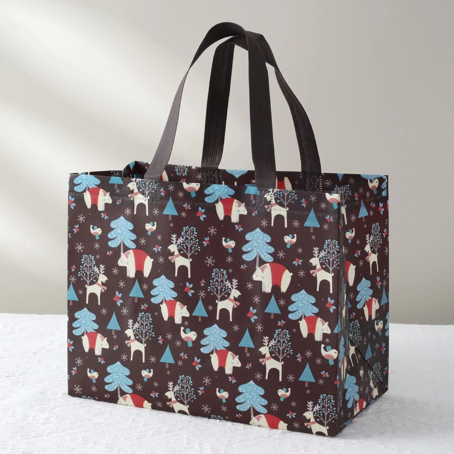 Merry Christmas Gift Bag