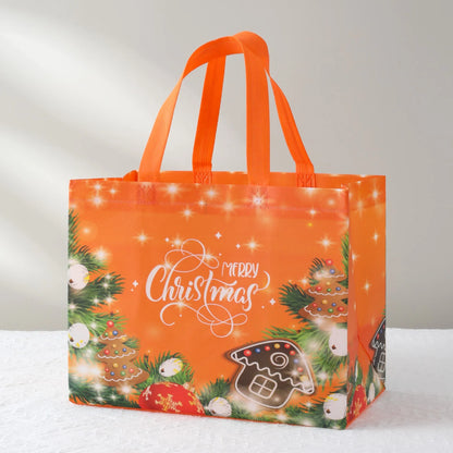 Merry Christmas Gift Bag