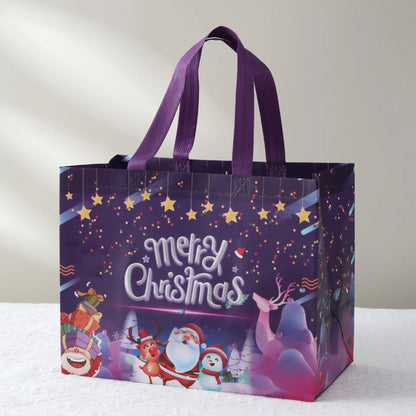 Merry Christmas Gift Bag