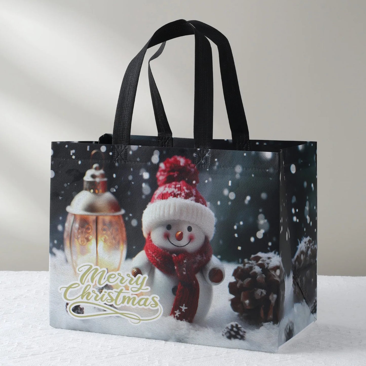 Merry Christmas Gift Bag