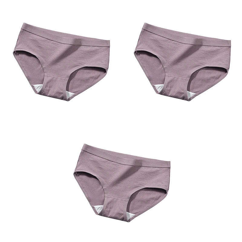 The Bauhaus Rhythm Set | Minimalist Mid-Rise Women's Cotton Briefs (3-Pack)