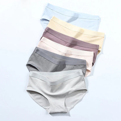 The Bauhaus Rhythm Set | Minimalist Mid-Rise Women's Cotton Briefs (3-Pack)