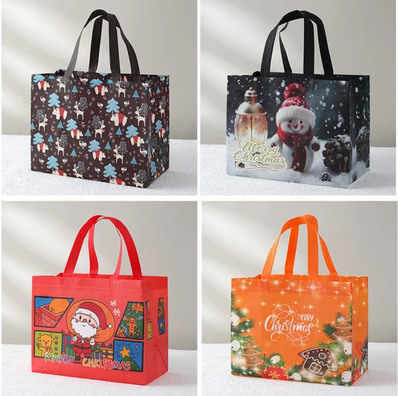 Merry Christmas Gift Bag