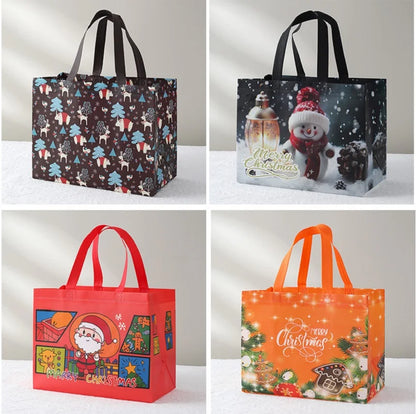 Merry Christmas Gift Bag