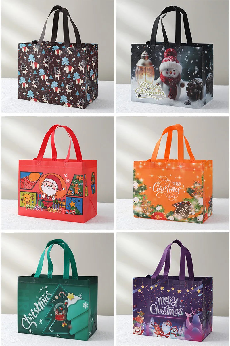 Merry Christmas Gift Bag