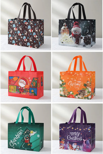 Merry Christmas Gift Bag