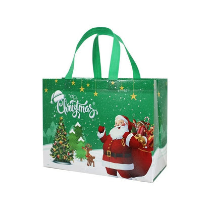 Merry Christmas Gift Bag