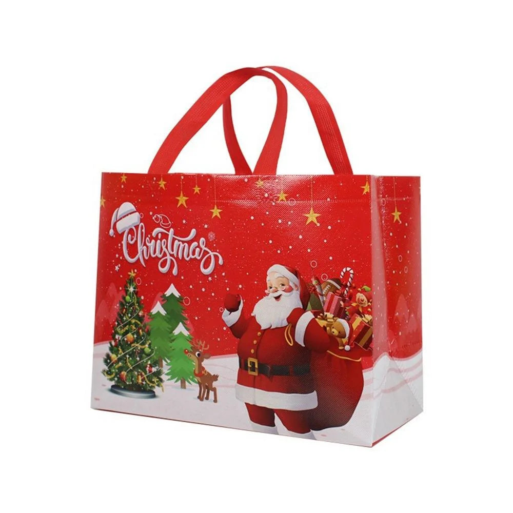 Merry Christmas Gift Bag
