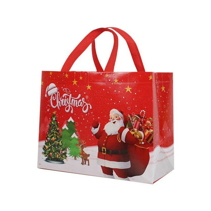 Merry Christmas Gift Bag