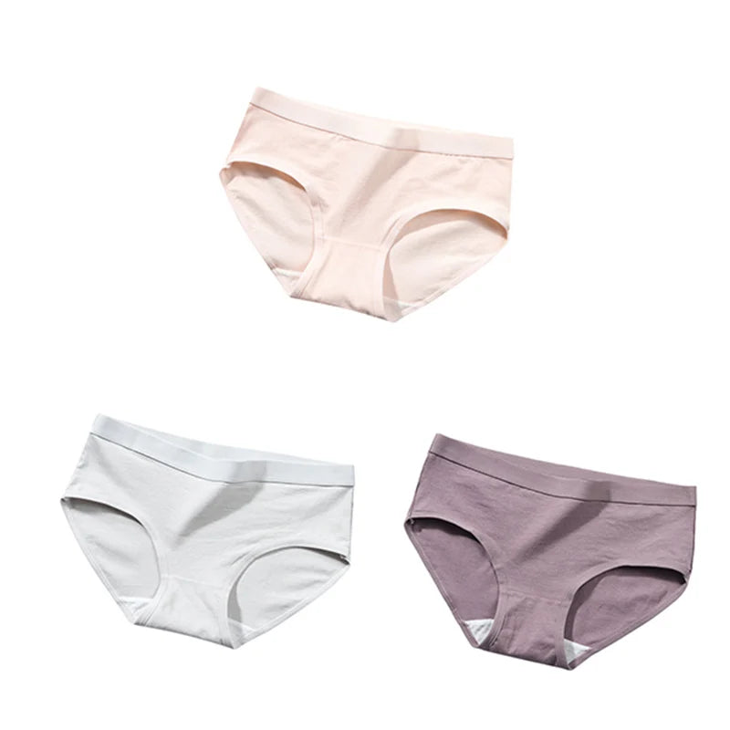 The Bauhaus Rhythm Set | Minimalist Mid-Rise Women's Cotton Briefs (3-Pack)