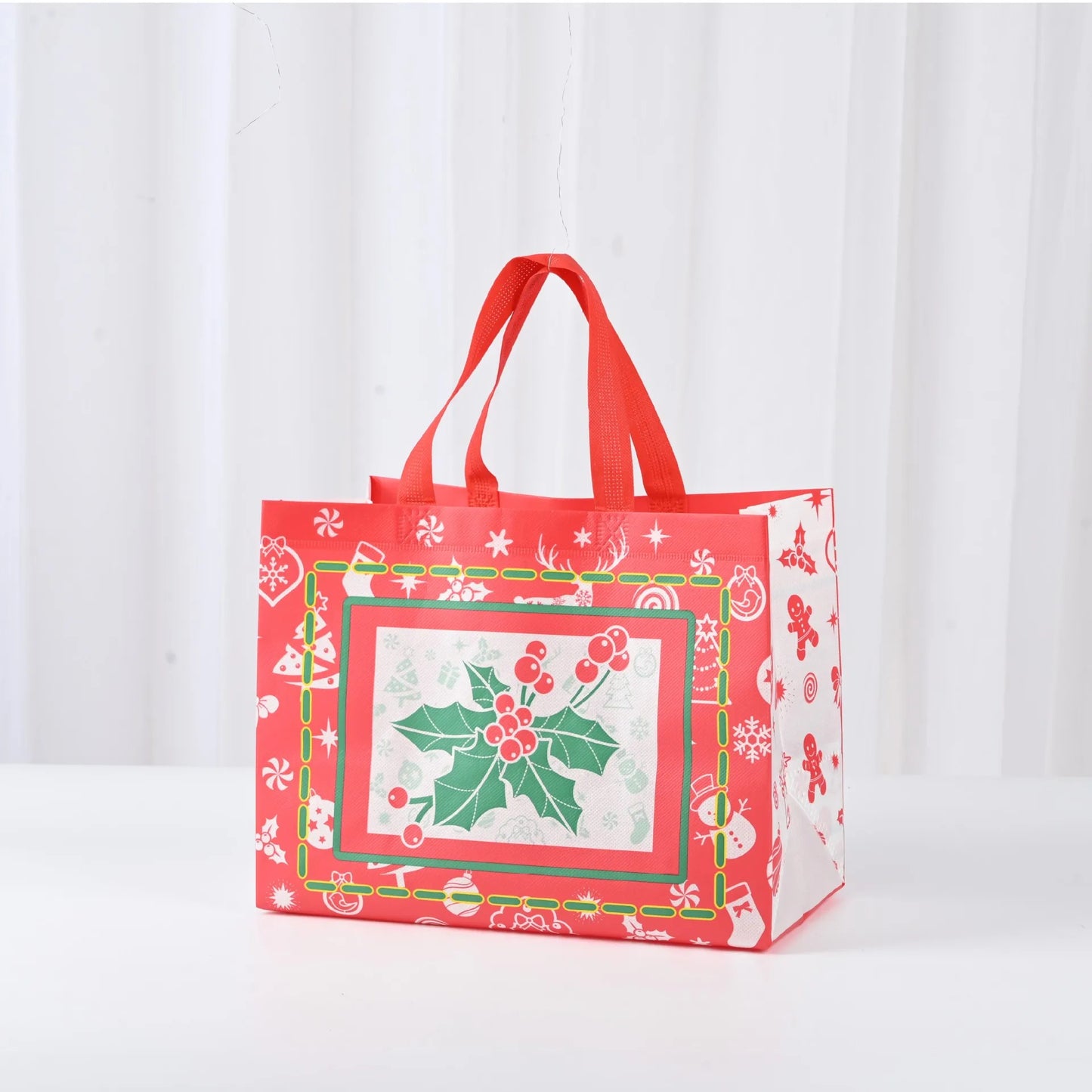 Merry Christmas Gift Bag